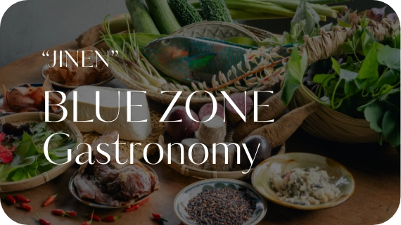 BLUE ZONE Gastronomy