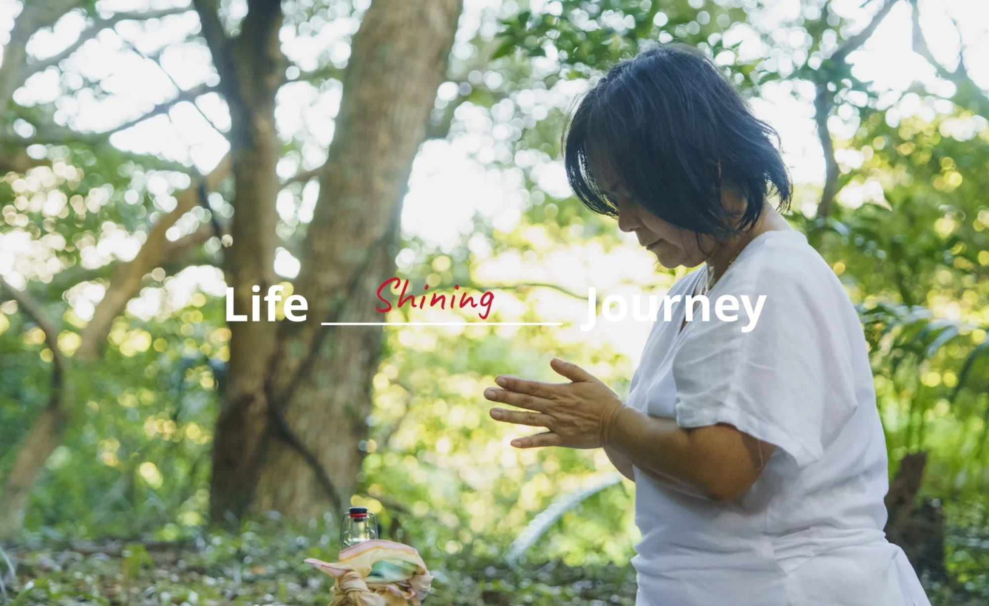 Life Shining Journey