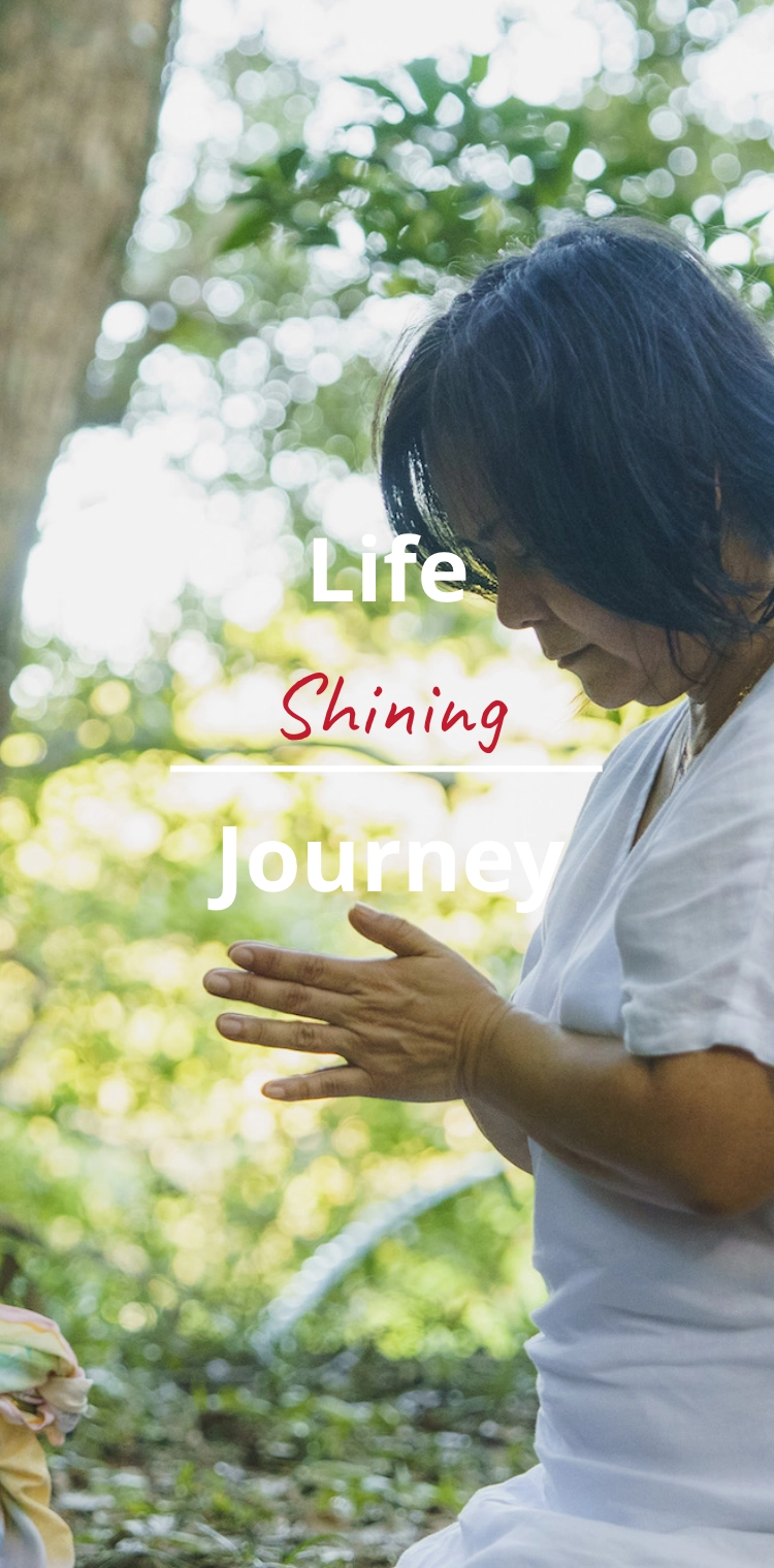 Life Shining Journey